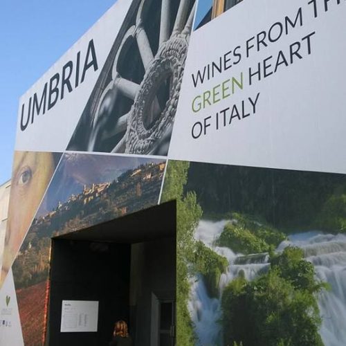 17799102_10210513430766101_3795657086627335679_n