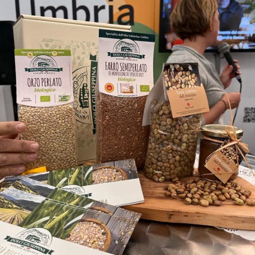 308420664_5591123804282660_883610066499708400_n