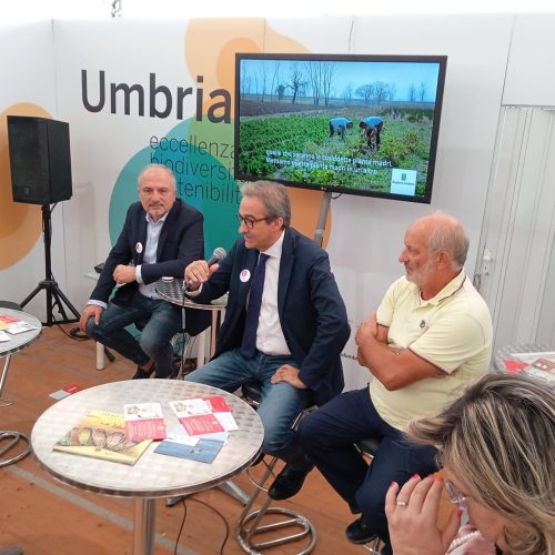 309301004_1373621426377993_5143437546558684498_n