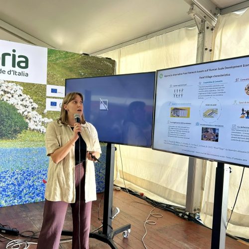 461497997_937196821787391_9006638848239704948_n