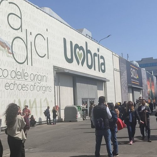 IMG_20250406_130739.mod